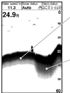 NAVMAN FISH 4433 - Intensité des échos - 1