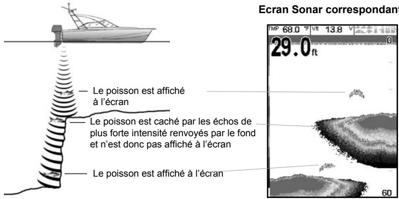 NAVMAN FISHFINDERS FISH 4350 - Exemple de zones d'ombre - 1