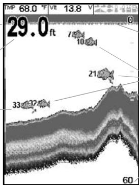 NAVMAN FISHFINDERS FISH 4350 - 5-1 Ecran Sonar - 1