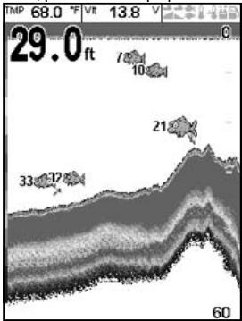 NAVMAN FISHFINDERS FISH 4380 - Symboles poisson actifs (On) - 1