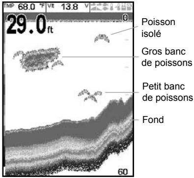 NAVMAN FISHFINDERS FISH 4380 - Intensité des échos - 1