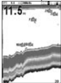 NAVMAN FISHFINDERS FISH 4500 - Symboles poisson actifs (on) - 1