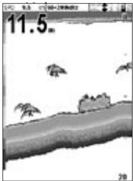 NAVMAN FISHFINDERS FISH 4500 - Ecran 50 + 200kHz - 1