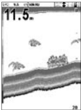 NAVMAN FISHFINDERS FISH 4500 - Ecran 50 kHz - 1