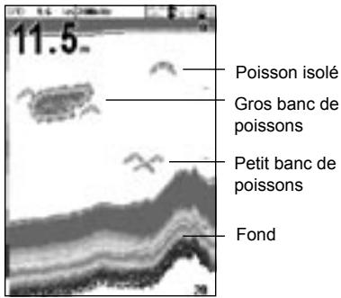 NAVMAN FISHFINDERS FISH 4500 - 4-1 Interpretation de l'écran - 1