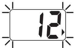 NAVMAN FUEL 2100 - Programmation de I'alarme de niveau minimum - 5