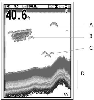 NAVMAN TRACKFISH 6500 - Intensité des échos - 1