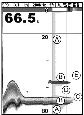 NAVMAN TRACKFISH 6500 - 9-5 Ecran Sonar A-Scope - 1