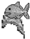 NAVMAN TRACKFISH 6500 - Arcs poisson - 2