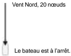NAVMAN WIND 3150 - Affichage de la vitesse et de l'angle du vent apparent ou du vent vrai - 1