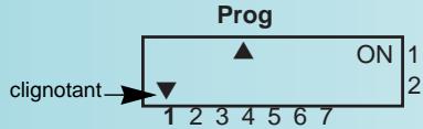 MERLIN GERIN IHP 2C - Programmez vos deux canaux - 2