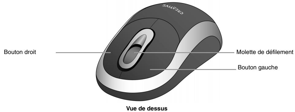 CREATIVE DESKTOP WIRELESS 6000 - A propos de Creative Wireless Keyboard et Optical Mouse - 3
