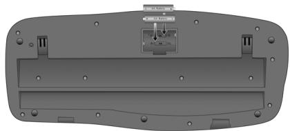 CREATIVE DESKTOP WIRELESS 8000 - Etape 2 :Insérez lespiless dans leclavier sans filCreative - 1