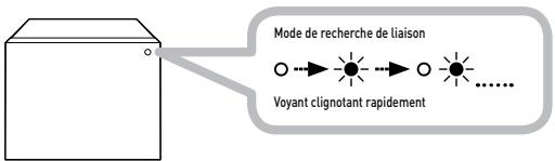 CREATIVE ZIISOUND D5X - B Vérifiez que votre ZiiSound D5x est sous tension. - 1
