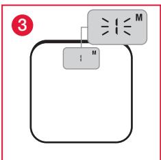 TERRAILLON FAMILY BODY CONTROL WITH COLOUR SCREEN - C.1 Zarejestrowanie paramétrów - 10
