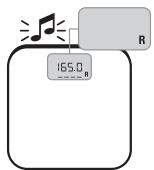 TERRAILLON FAMILY BODY CONTROL WITH COLOUR SCREEN - C.1 Memorización de los parámetros - 8
