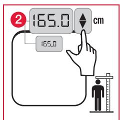 TERRAILLON FAMILY BODY CONTROL WITH COLOUR SCREEN - B: METING EN CLASSIFICATIE VAN DE BMI (LICHAAMSMASS- INDEX) - 2