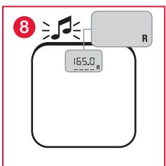 TERRAILLON FAMILY BODY CONTROL WITH COLOUR SCREEN - B: MISURA E CLASSIFICAZIONE DELL'IMC - 8