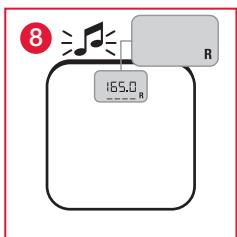 TERRAILLON FAMILY BODY CONTROL WITH COLOUR SCREEN - B: METING EN CLASSIFICATIE VAN DE BMI (LICHAAMSMASS- INDEX) - 8