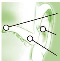 TERRAILLON MULTITHERMO 30 - Auricular - 5