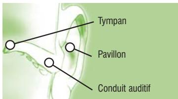 TERRAILLON MULTITHERMO 30 - Auriculaire - 5