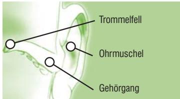 TERRAILLON MULTITHERMO 30 - Innenohrmessung - 5
