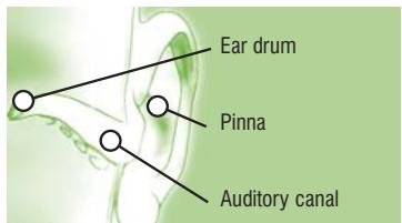 TERRAILLON MULTITHERMO 30 - Ear reading - 5