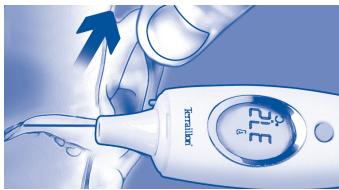 TERRAILLON MULTITHERMO 4 - Ear - 2