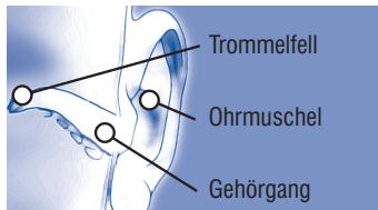 TERRAILLON MULTITHERMO 4 - Auriculaire - 1