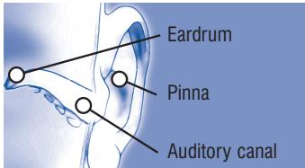 TERRAILLON MULTITHERMO 4 - Ear - 1