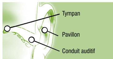 TERRAILLON MULTITHERMO 50 - Auriculaire - 5