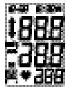 TERRAILLON PRESSIO A - Messen der Herzfrequenz und des Blutdrucks - 1