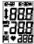 TERRAILLON PRESSIO A - Measurement of pulse rate and blood pressure - 1