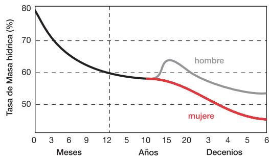 TERRAILLON SYMPHONY - BÁSCULA DE BÁÑO ELECTRónica - IMPEDANCÍMETRO - 1