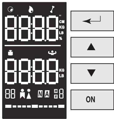 TERRAILLON TFA CILEO - LCD-ANZEIGE UND FUNKTIONSTASTEN - 1