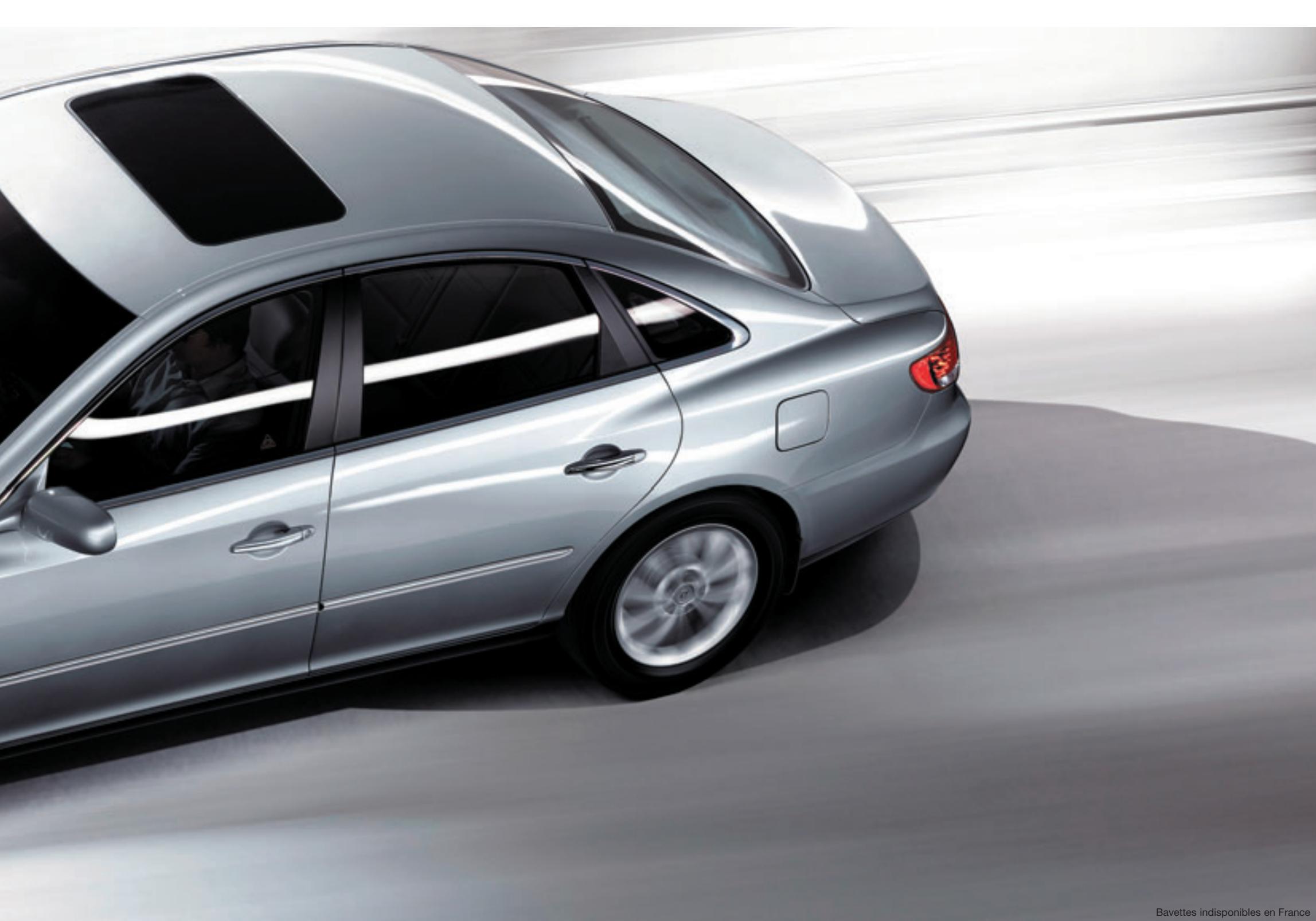 HYUNDAI AZERA - Pare-soileil arrête electrolyque - 2