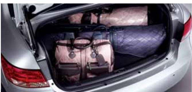 HYUNDAI SONATA - Verrouillage centralisé à distance et alarmé périmétrique - 1