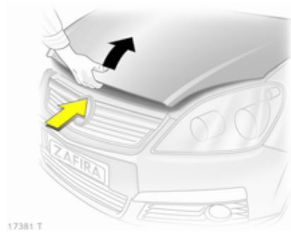 OPEL ZAFIRA II - Capot moteur - 2