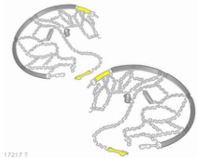 OPEL ZAFIRA II - Chaines à neige - 1