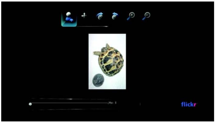 WESTERN DIGITAL TV LIVE - Flickr Player - 1