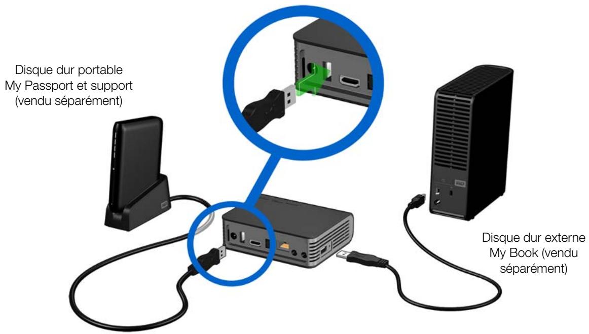 WESTERN DIGITAL TV LIVE - Étape 4 - Connecter un périphérique USB - 1