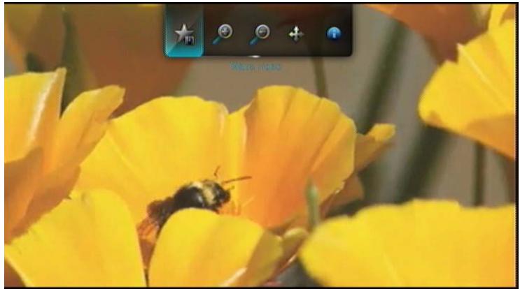 WESTERN DIGITAL TV LIVE PLUS - Options du YouTube Player - 1