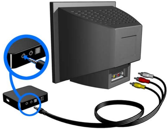 WESTERN DIGITAL TV MINI MEDIA PLAYER - Connexion AV composite (définition standard) - 1