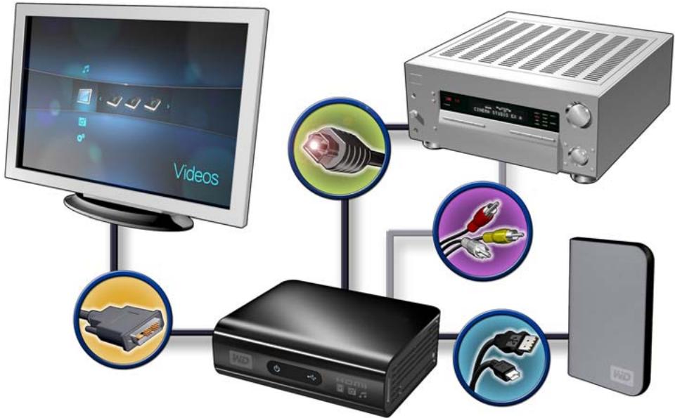 WESTERN DIGITAL WD TV HD MEDIA PLAYER - Védo DVI et son numérique Toslink (optique) (haute définition) - 1