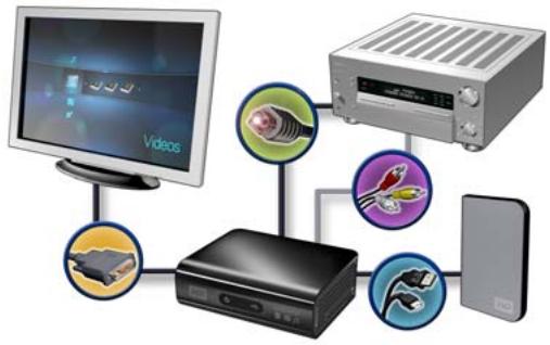WESTERN DIGITAL WD TV HD MEDIA PLAYER - Choisir la meilleure connexion - 4