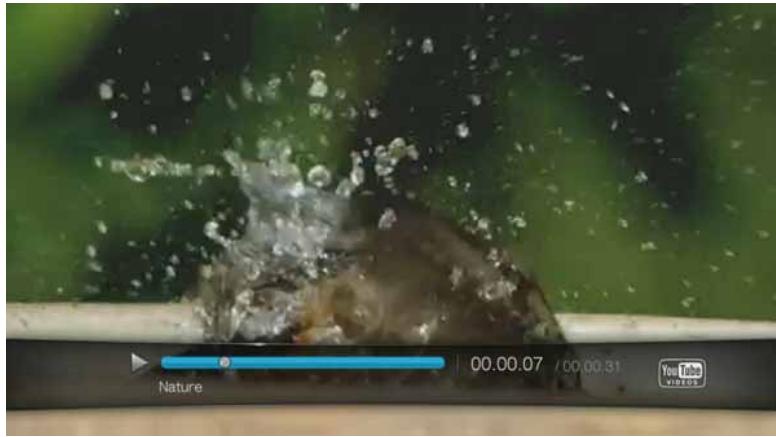 WESTERN DIGITAL WD TV LIVE PLUS HD MEDIA PLAYER - YouTube Player - 1