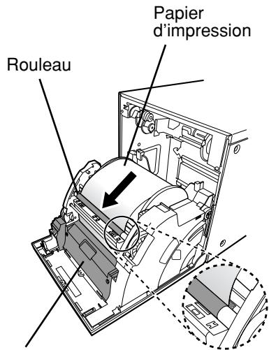 MITSUBISHI CP9550DW-S - REMARQUE - 5