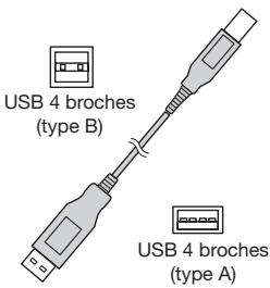 USB 4 broches (type B) USB 4 broches (type A)
