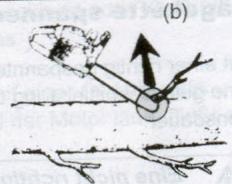 FLORABEST FKS 2200 08 - Vorsichtsmaßnahmen gegen Rückschlag - 3