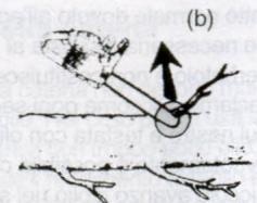 FLORABEST FKS 2200 08 - Misure di sicurezza contro contraccolpo - 3